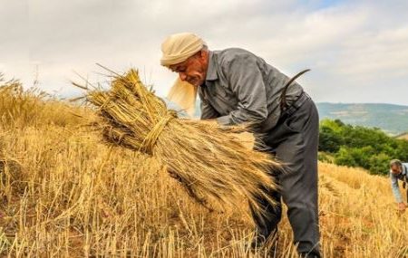 دومینوی مالیات ستانی دولت به کشاورزان هم رسید