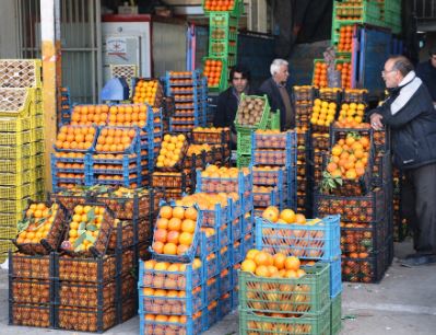 بازگشایی میادین میوه و تره بار تهران از فردا